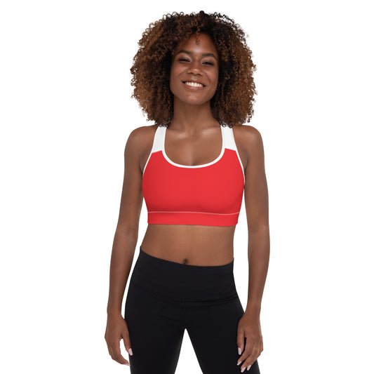 Sports Bra w/Removable Padding // Flame On